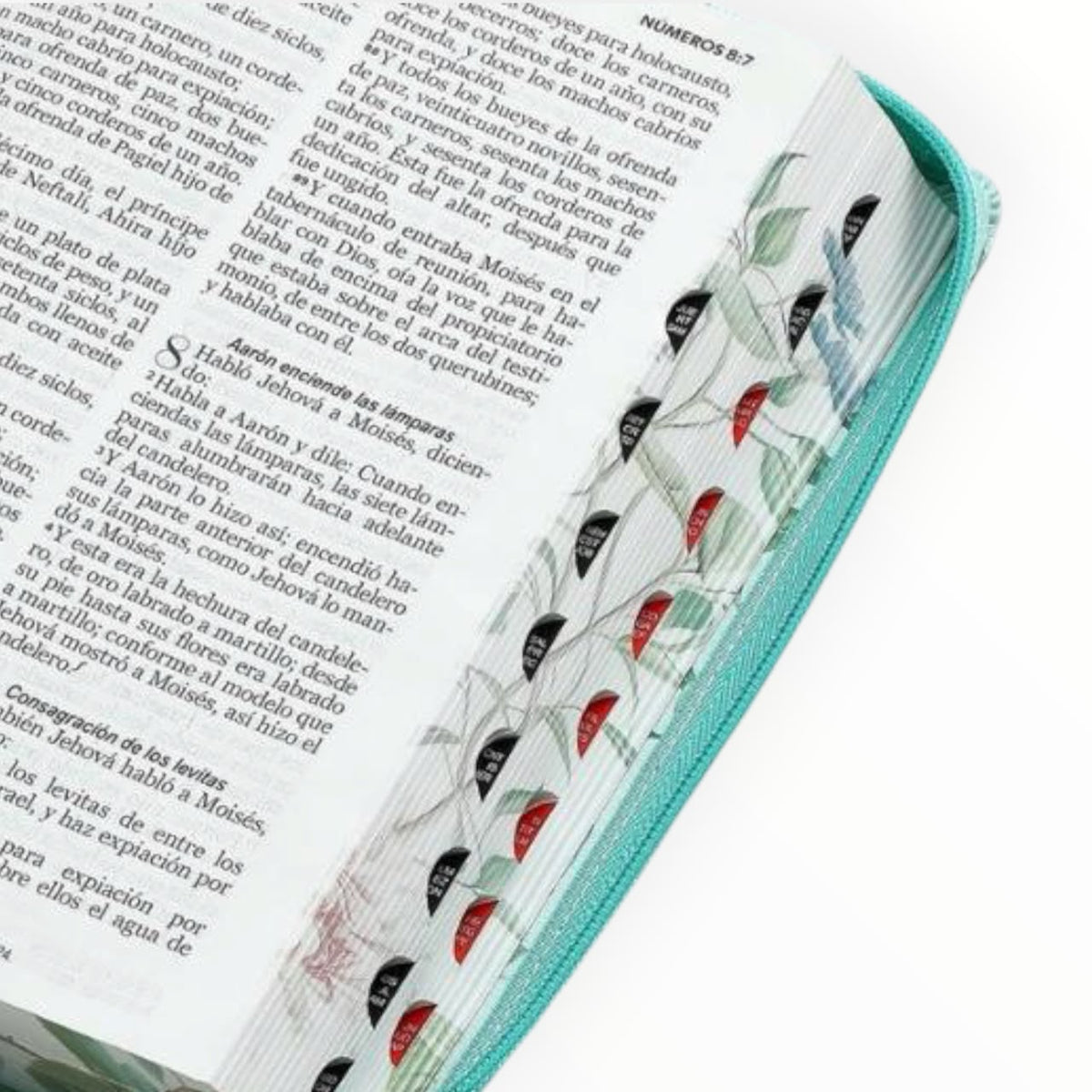 Biblia Reina Valera Letras Grandes Turquesa con Mariposas
