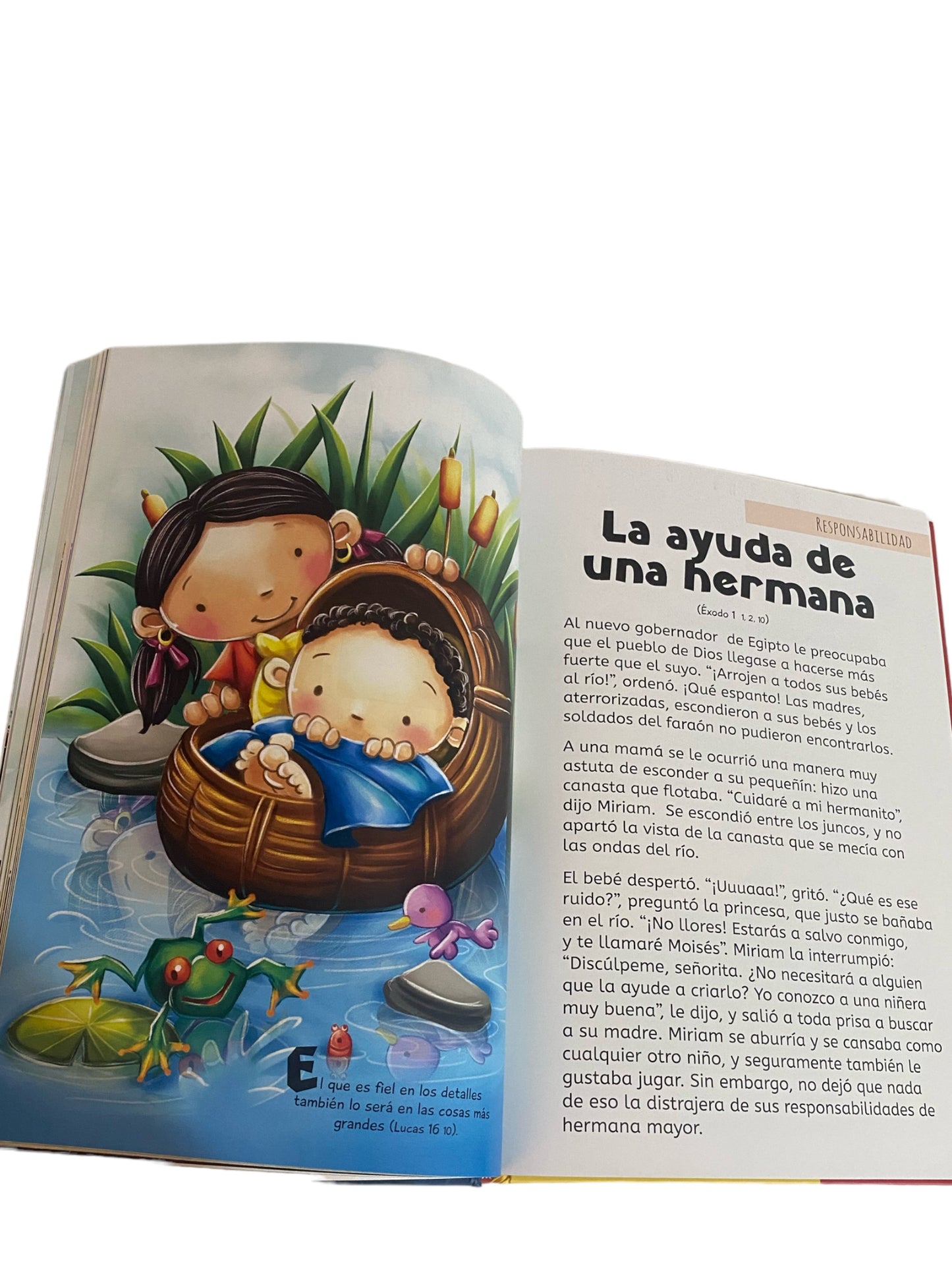 La Biblia Formando Valores Libro Infantil