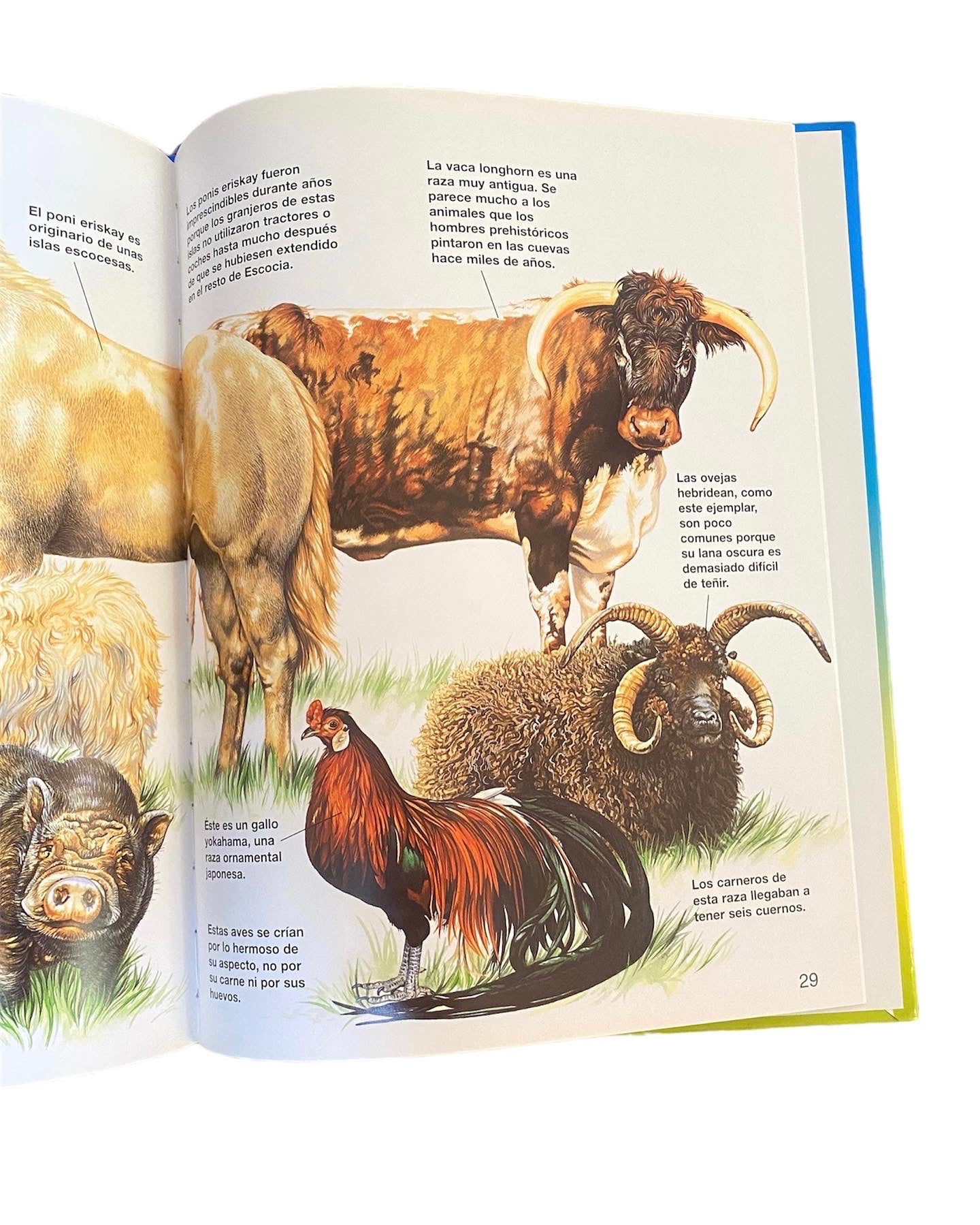 Libro Infantil - Animales de la Granja