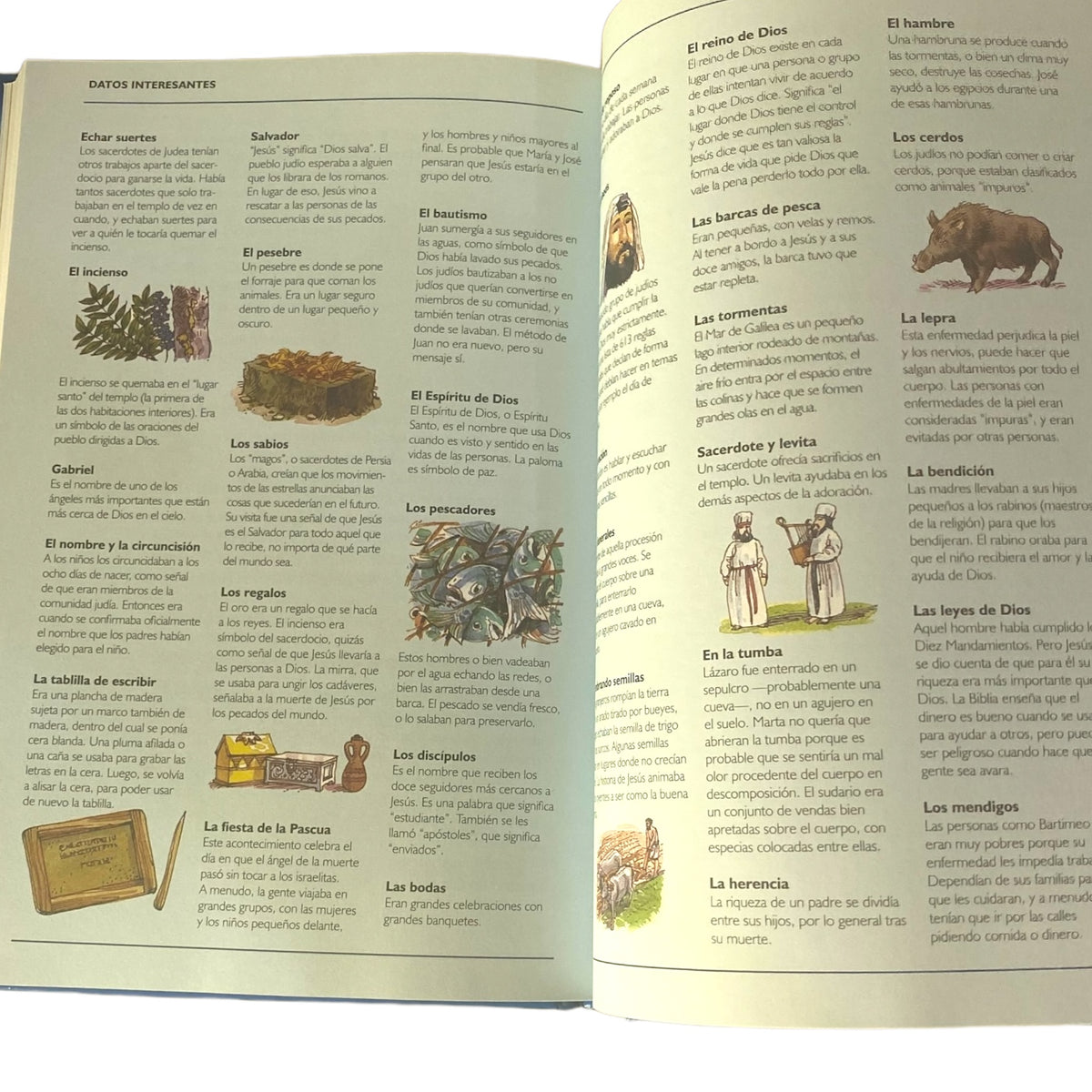 La Biblia en 365 Historias Libro Infantil Ilustrado