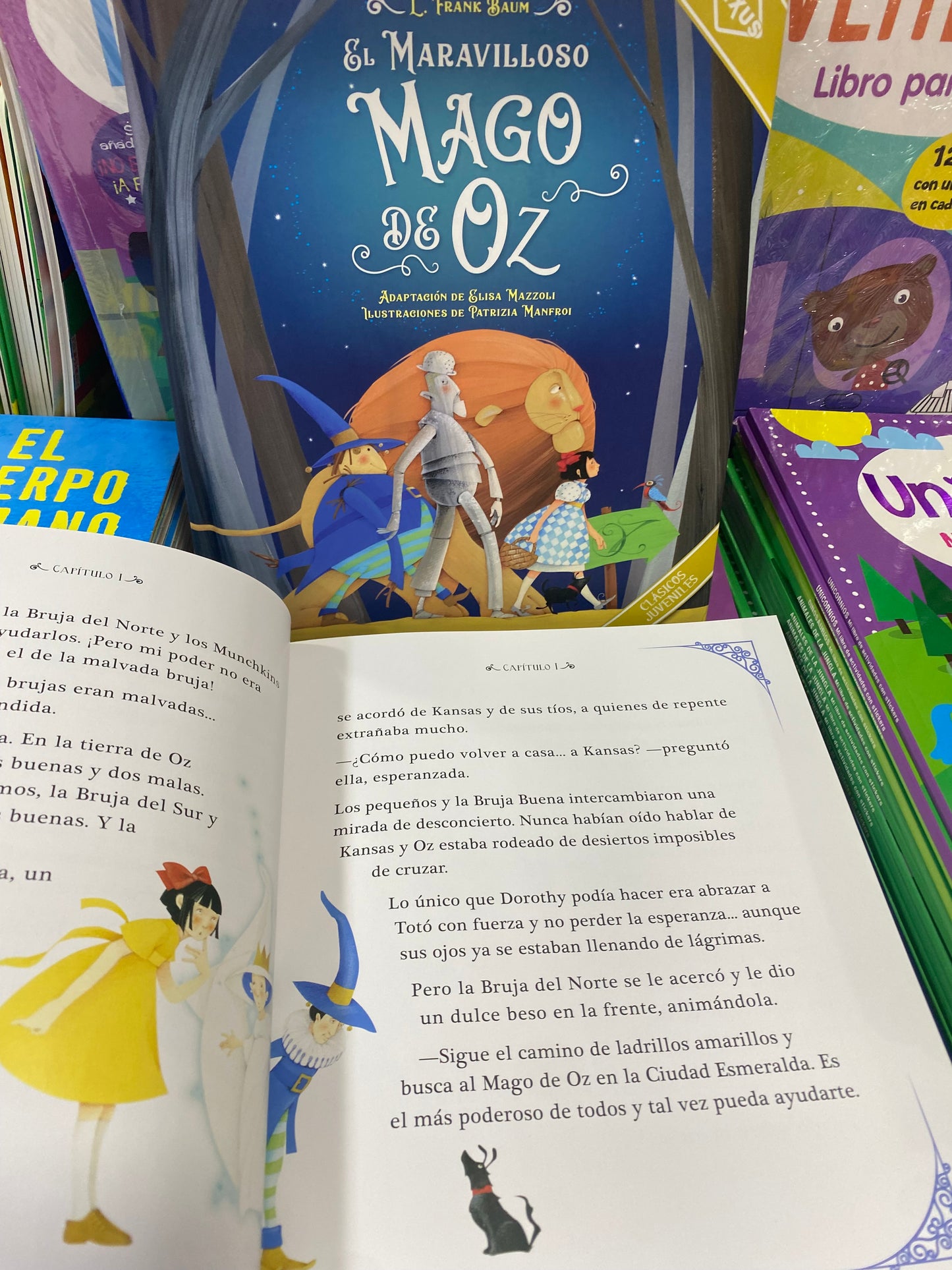 Mago de Oz Libro Infantil