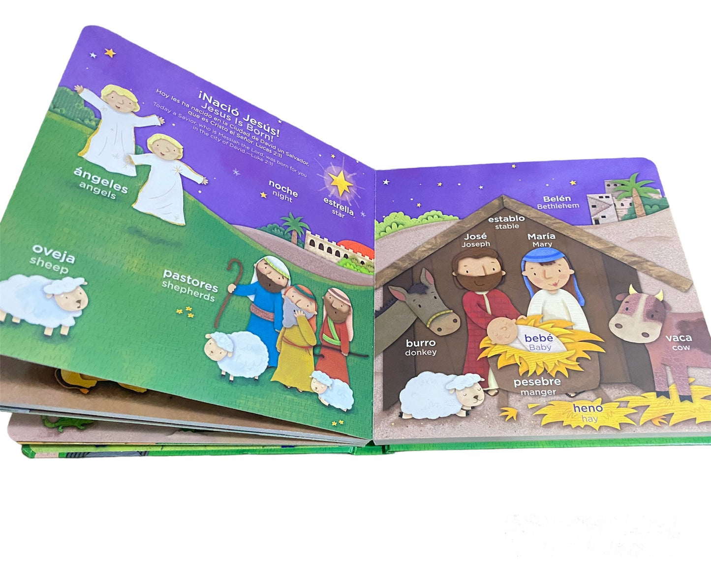 Libro Infantil más de 100 Palabritas Bíblicas Inglés y Español