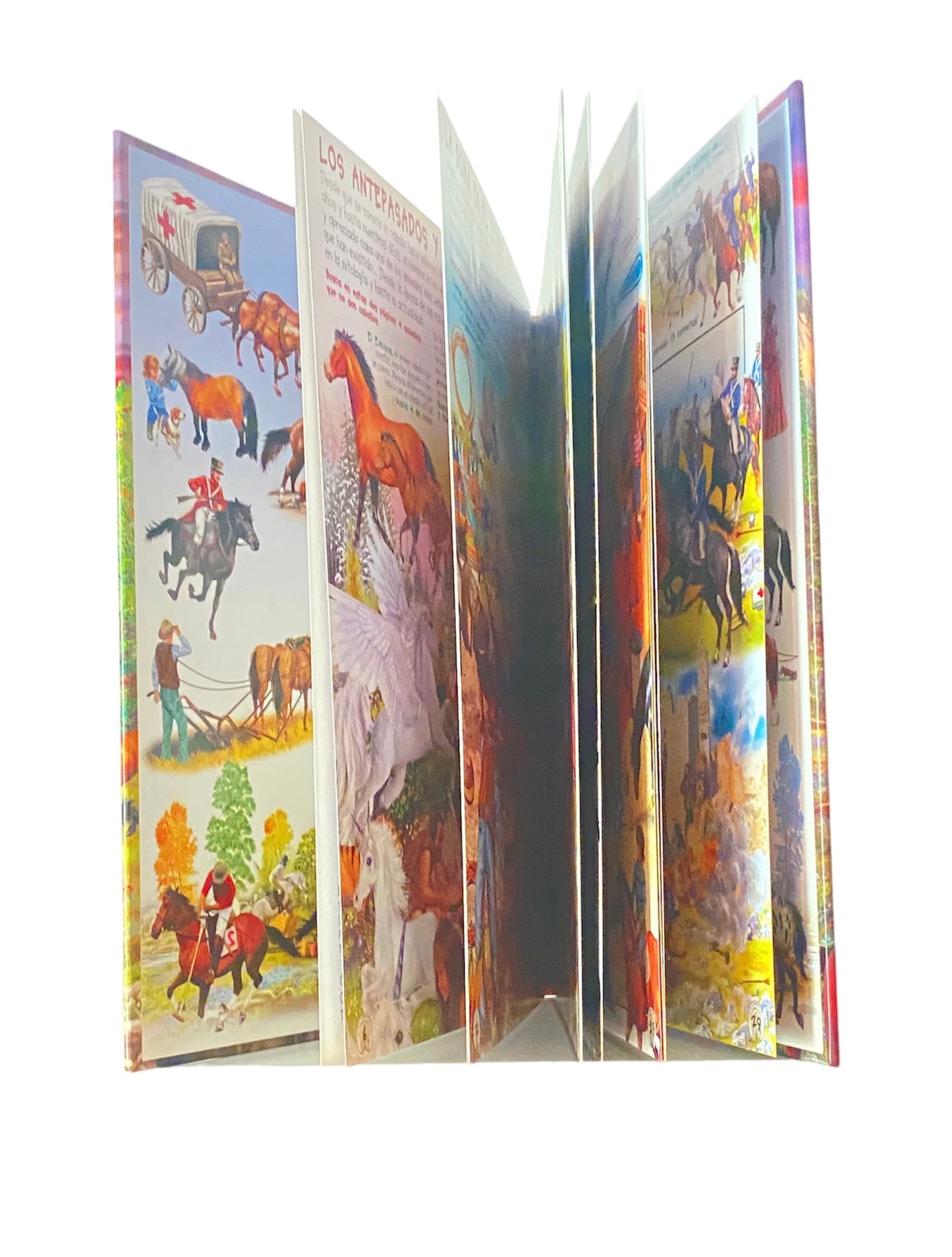 Libro Infantil Busca los Caballos y Ponis