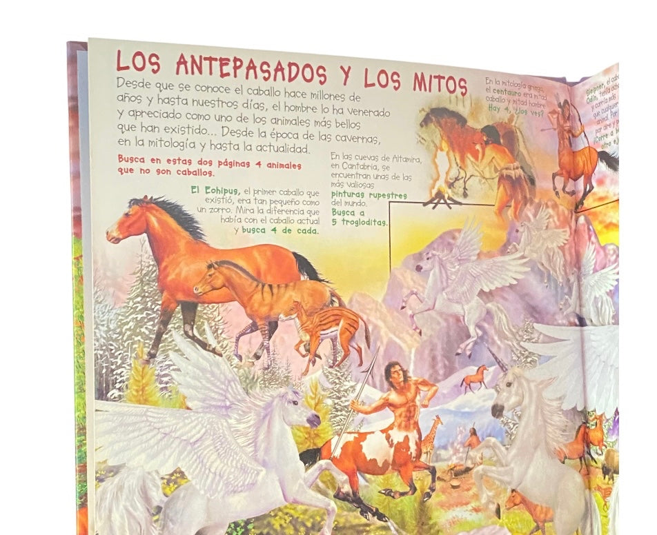 Libro Infantil Busca los Caballos y Ponis