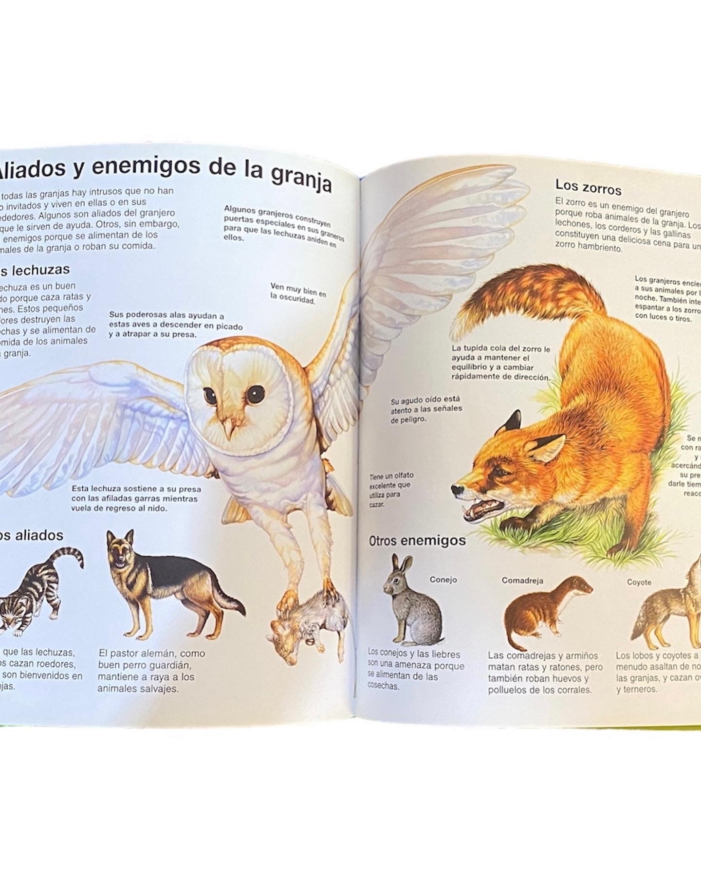 Libro Infantil - Animales de la Granja