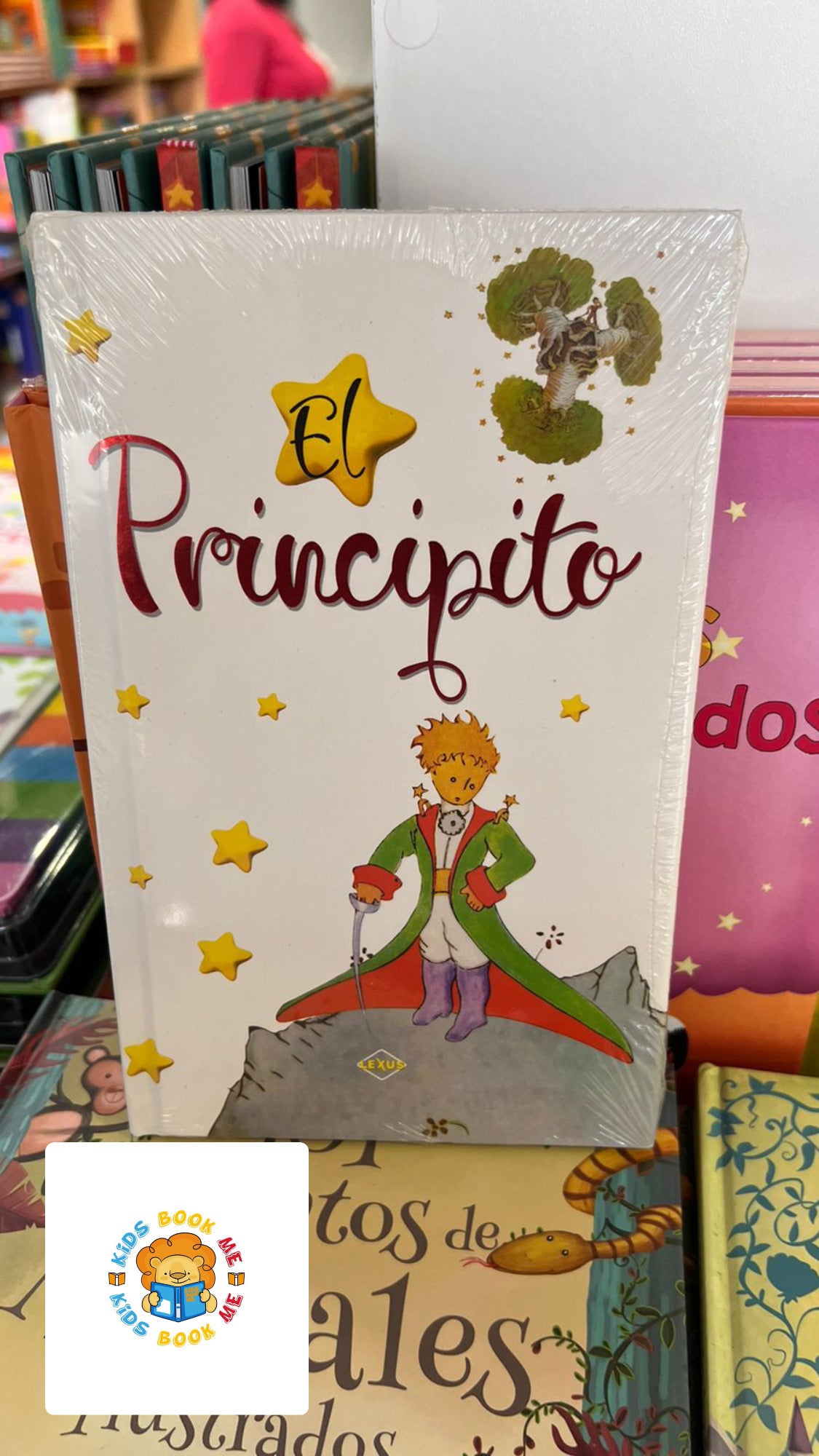 El Principito Libro Infantil