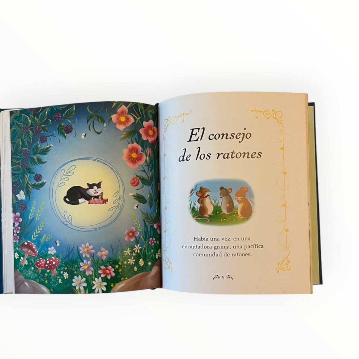 Tesoro Infantil – Cuentos Antes de Dormir