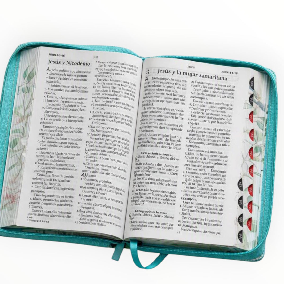 Biblia Reina Valera Letras Grandes Turquesa con Mariposas