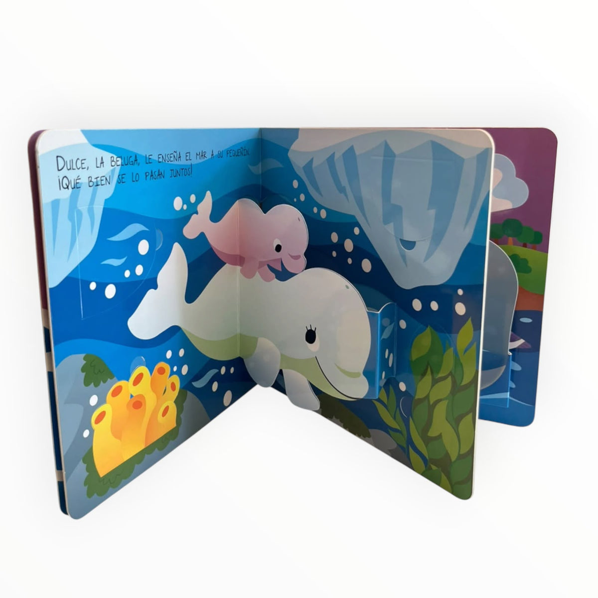 Libro con Imágenes 3D y Solapas Para Descubrir Ballenas  pop-up