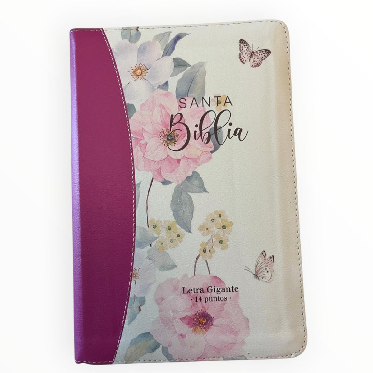 Santa_Biblia_Reyna_Valera_1960_Letra Grandes_14_Puntos_Estuche_Ziper