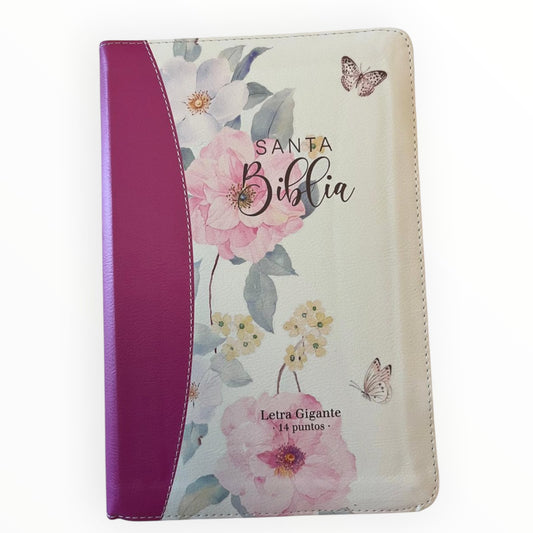 Santa_Biblia_Reyna_Valera_1960_Letra Grandes_14_Puntos_Estuche_Ziper