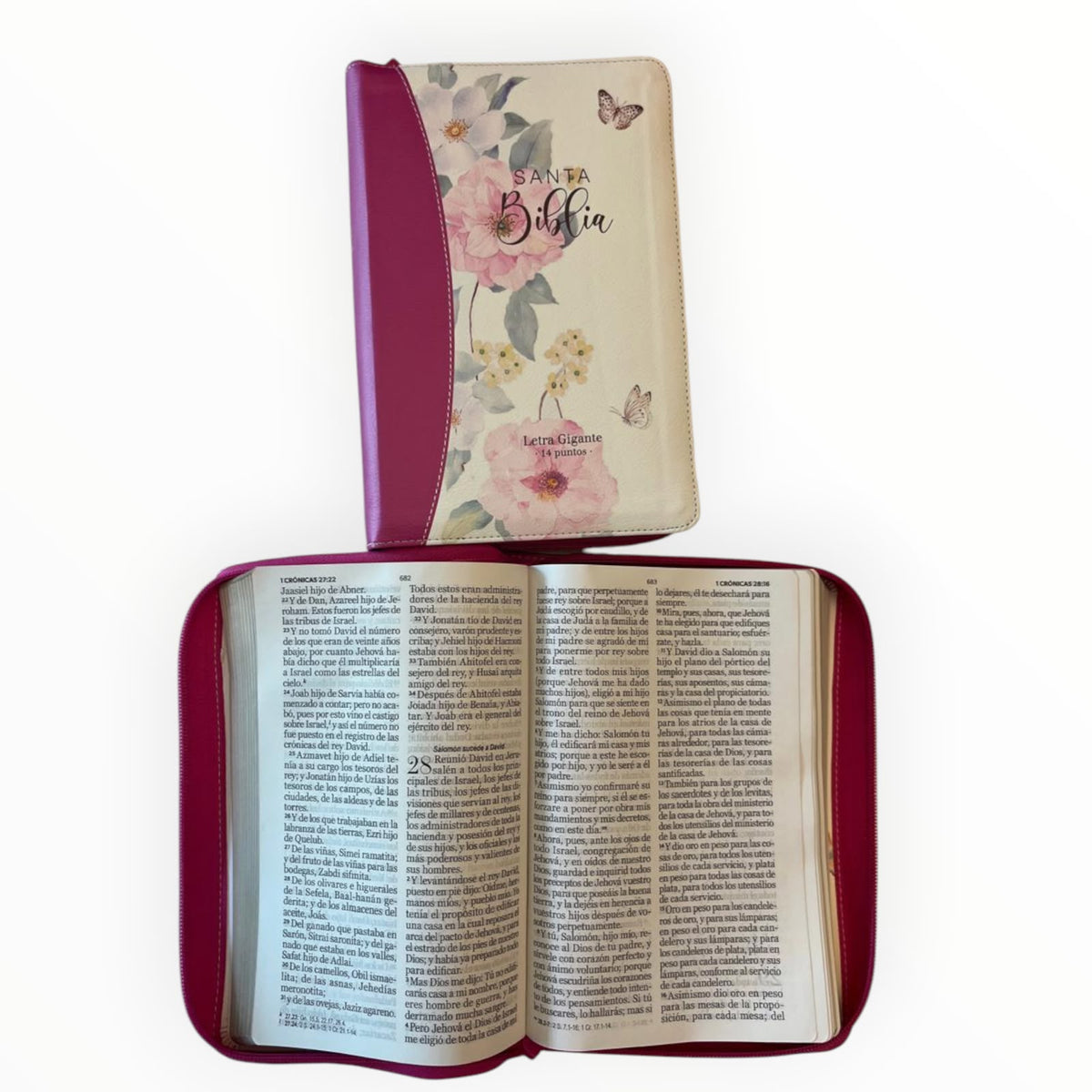 Santa Biblia Reyna Valera 1960 Letra Grandes 14 Puntos - En Estuche con Zíper