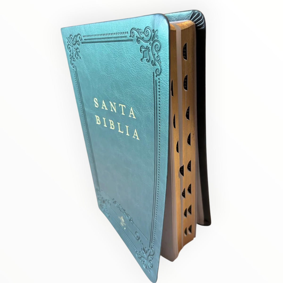 La Santa Biblia Reina-Valera 1960 Letras Grande con Índice