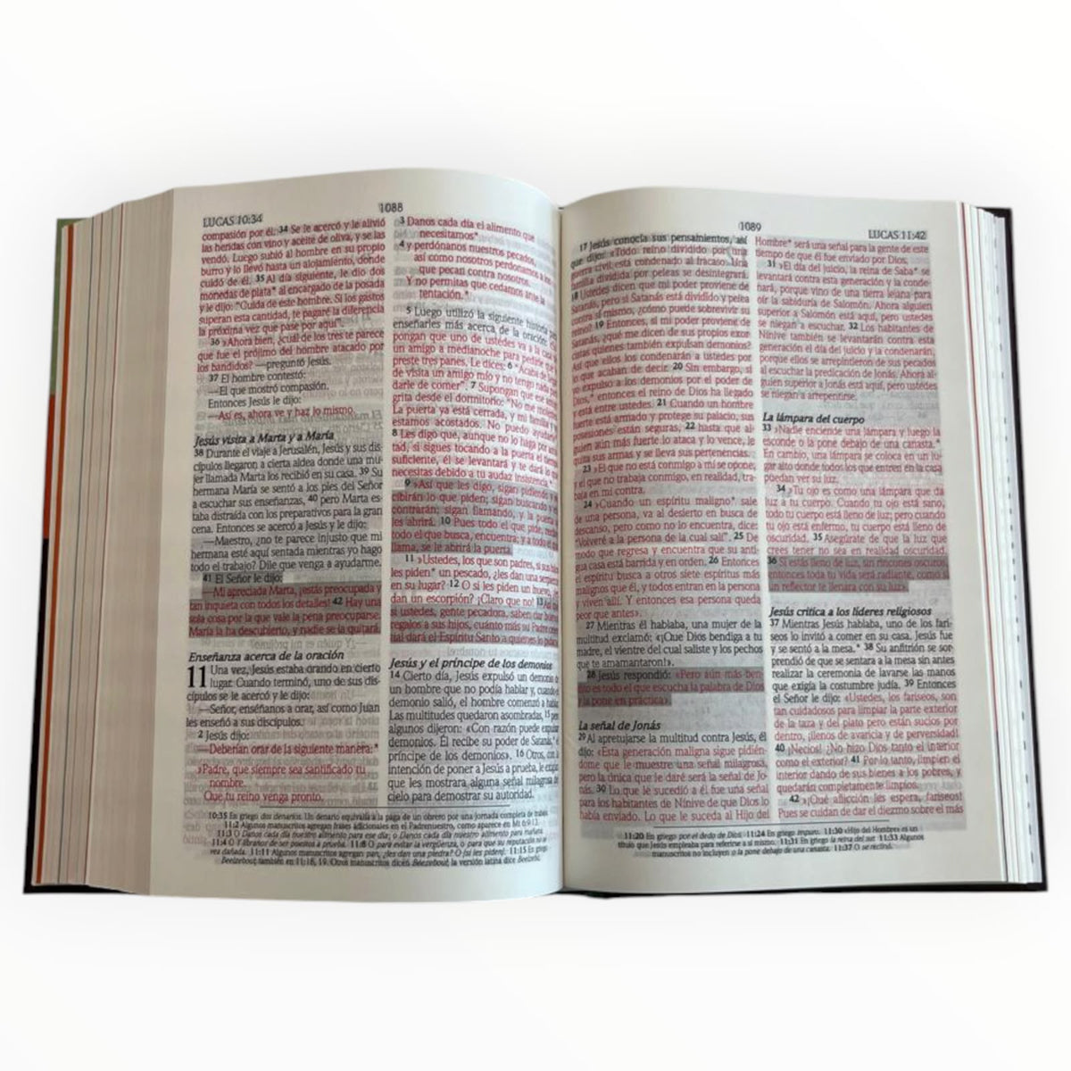 La Biblia de Promesas para Niños NTV Letras Grandes