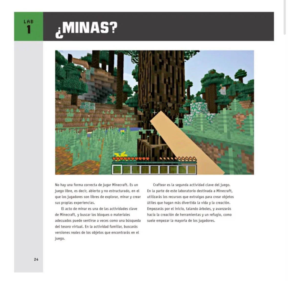 Laboratorio de Minecraft para Niños-Ilustrado
