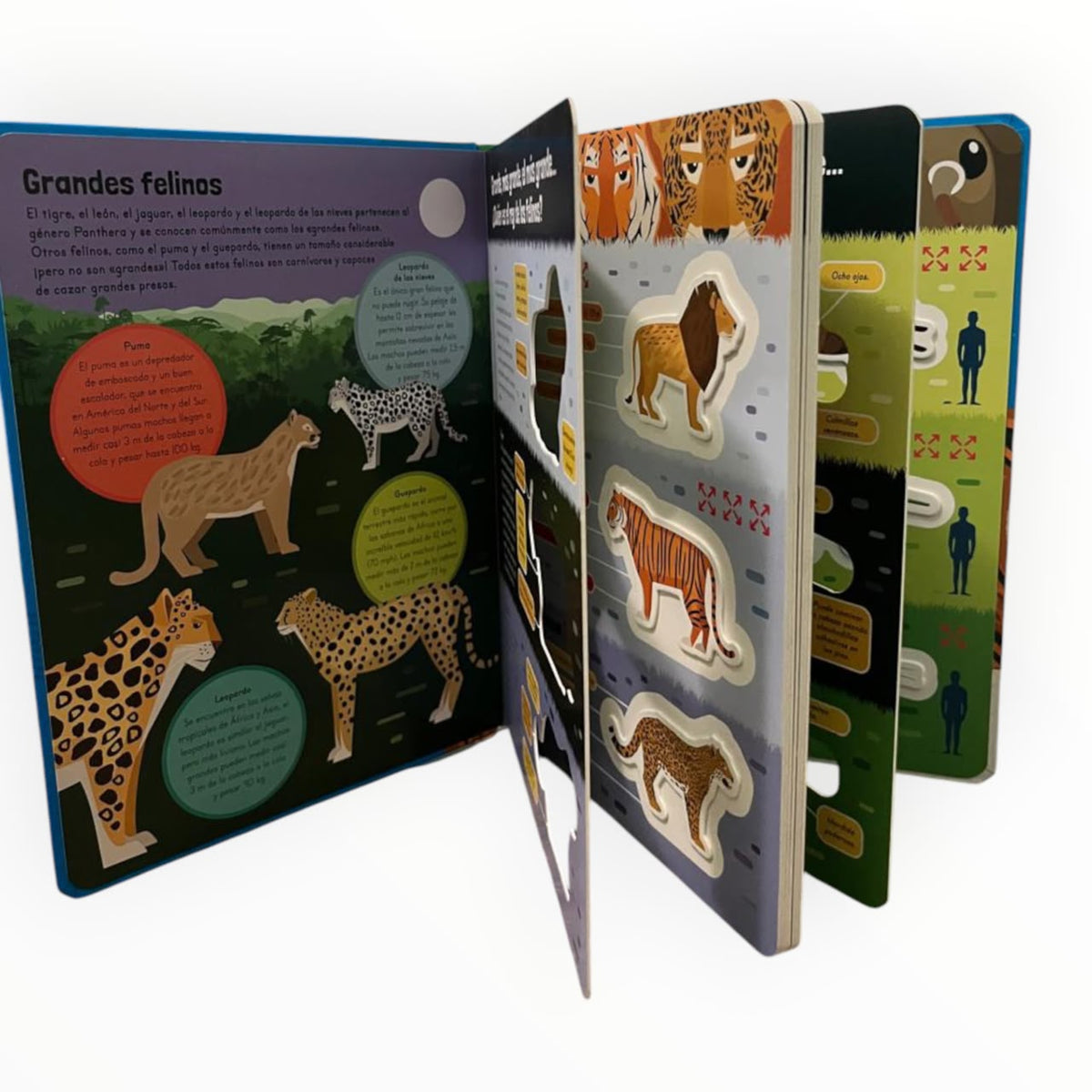 Asombrosos Mega Animales
