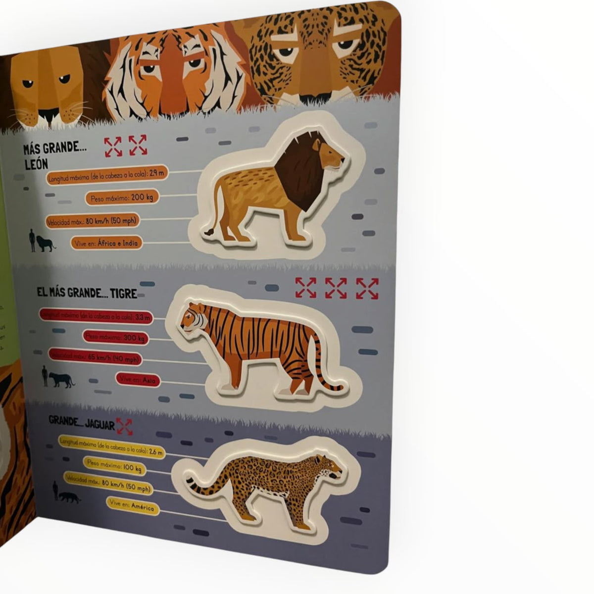 Asombrosos Mega Animales