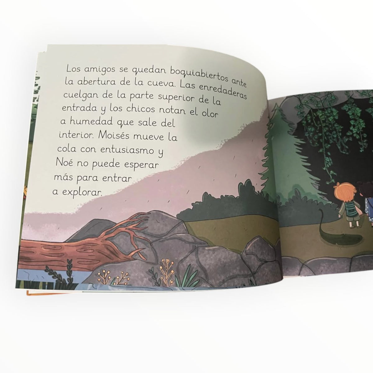 El Pequeño Noé: El Perdón