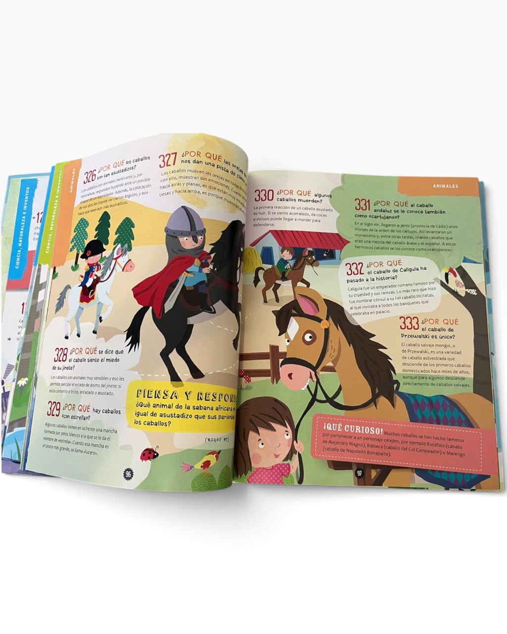 Libro Infantil Los 1000 Porqués