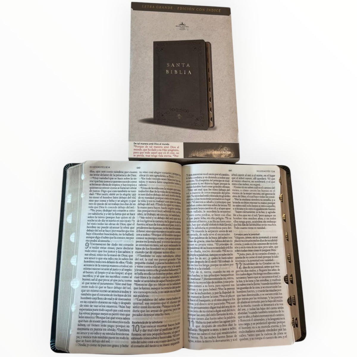 La Santa Biblia Reina-Valera 1960 Letras Grande con Índice